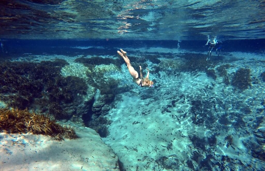 Alexander Springs - Florida Springs