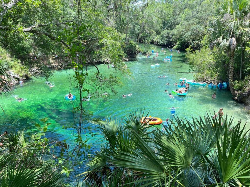 Blue Spring State Park - Florida Springs