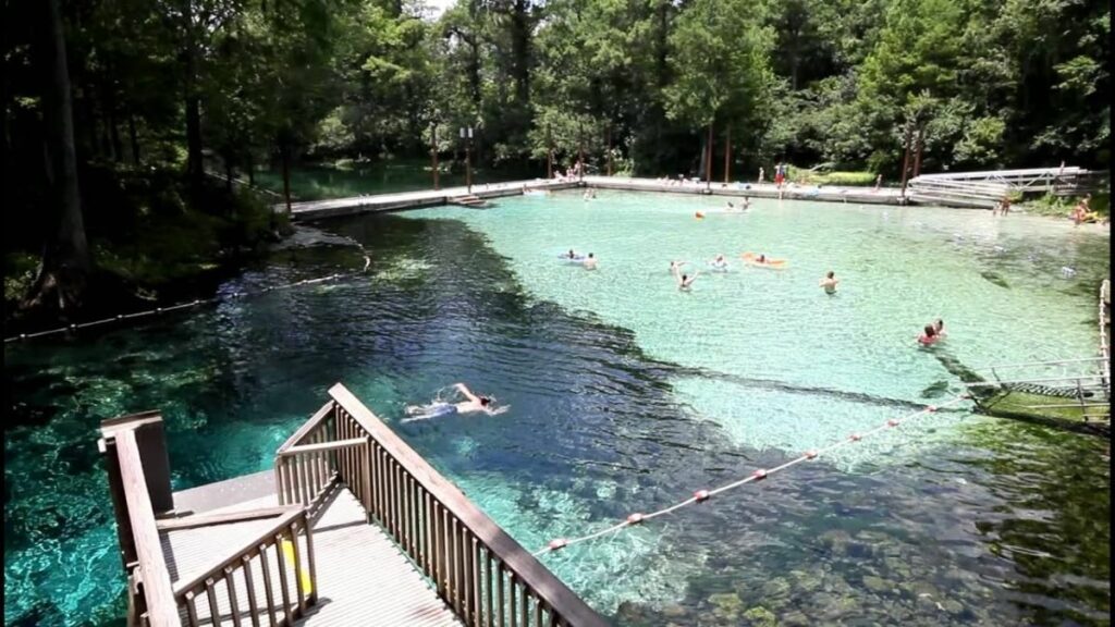 Fanning Springs - Florida Springs