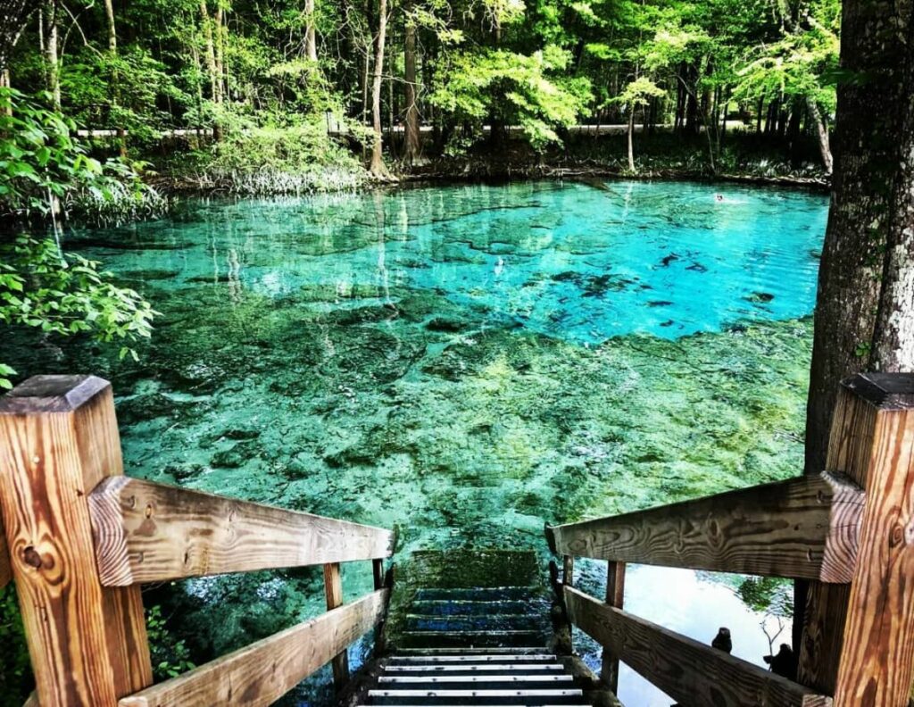 Ginnie Springs - Florida Springs