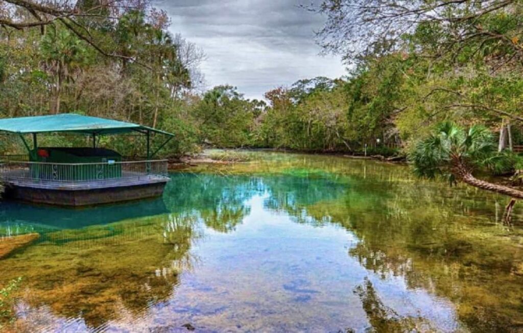 Homosassa Springs - Florida Springs