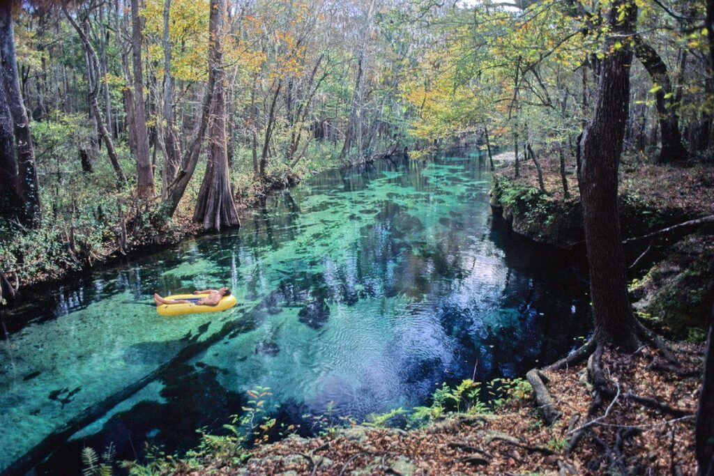 Ichetucknee Springs - Florida Springs