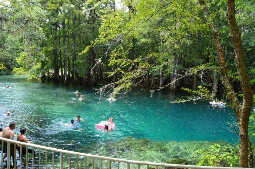 Manatee Springs - Florida Springs