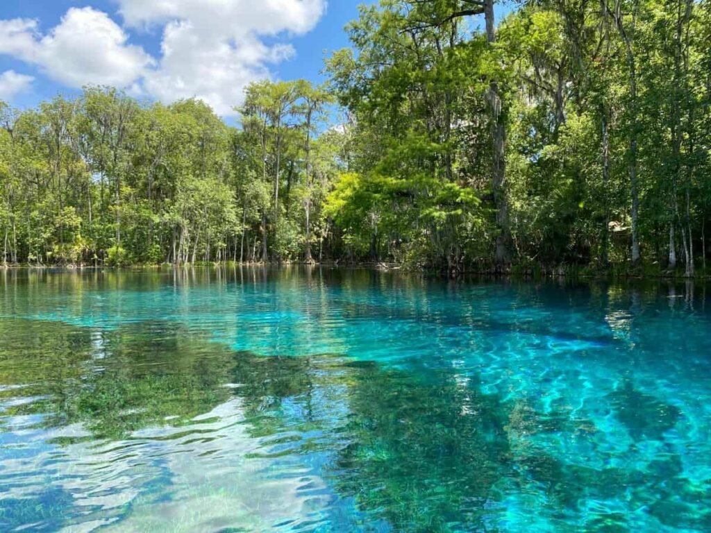 Silver Springs State Park - Florida Springs