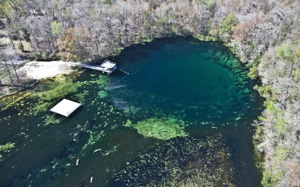 Wakulla Springs - Florida Springs