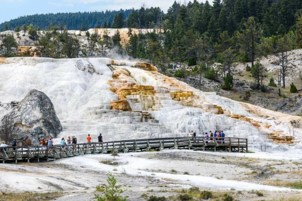 Yellowstone National Park - Mammoth Hot Springs