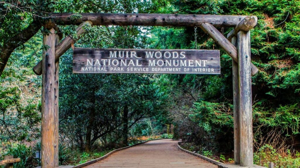 Itinerario da San Francisco a Seattle - Muir Woods National Monument