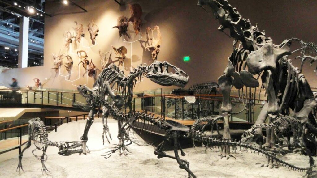 Salt Lake City - Natural History Museum of Utah