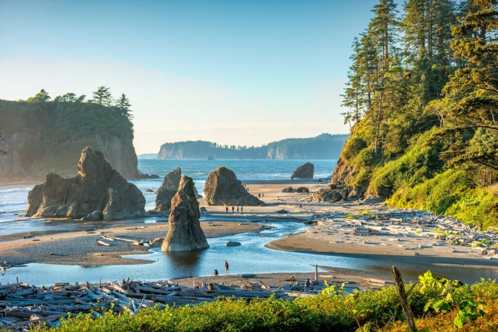 Itinerario da San Francisco a Seattle - Olympic National Park