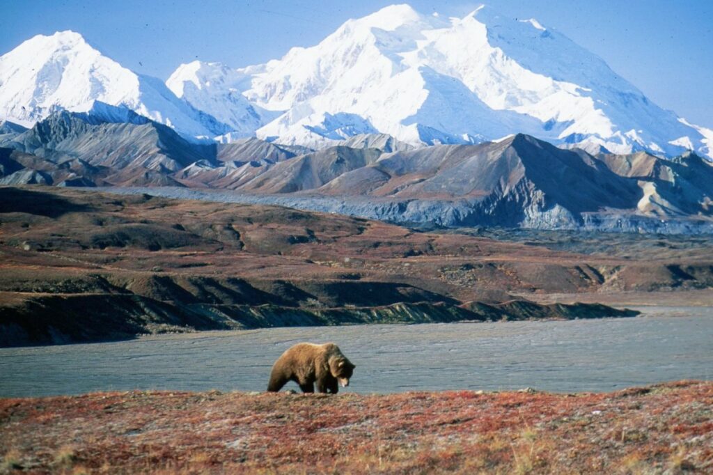 US National Parks - Denali National Park