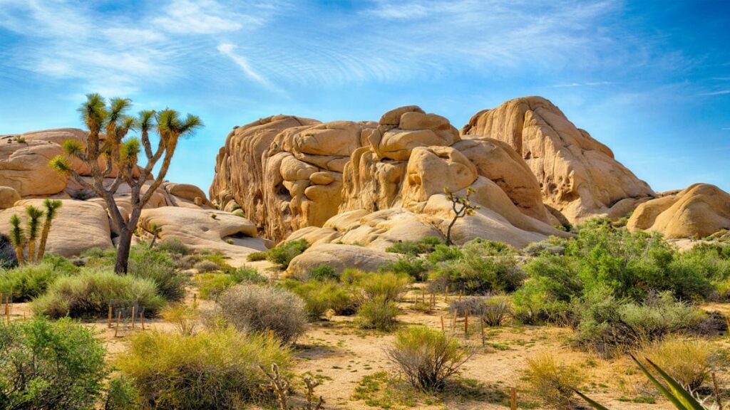 US National Parks - Joshua Tree National Park