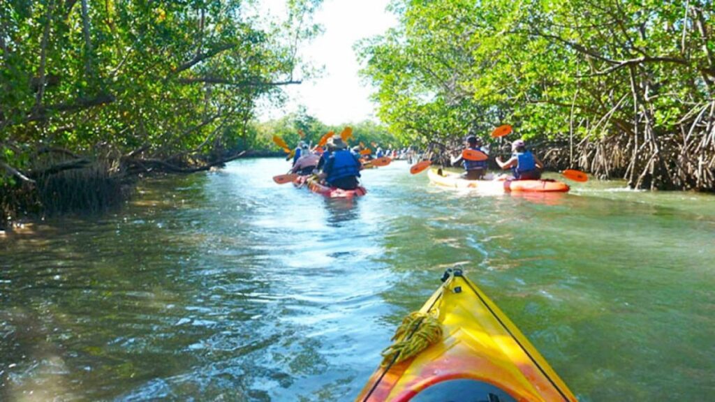 Miami - Oleta River State Park