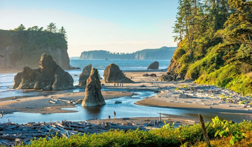 US National Parks - Olympic National Park