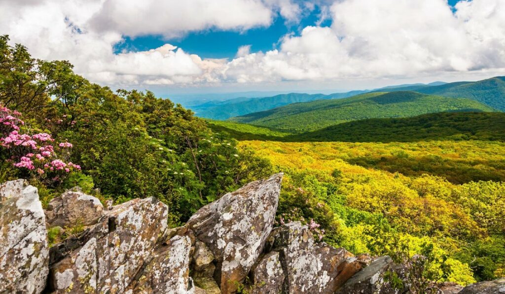 US National Parks - Shenandoah National Park