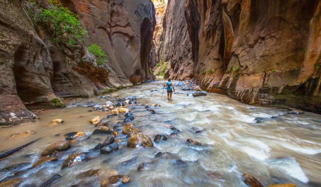 US National Parks - Zion National Park