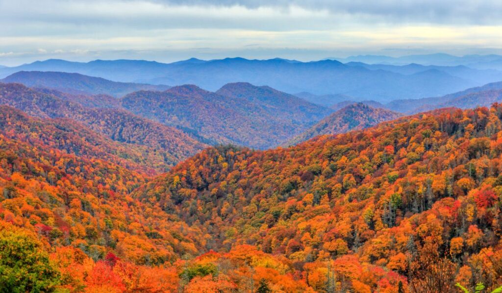 Southeast - Great Smoky Mountains National Park