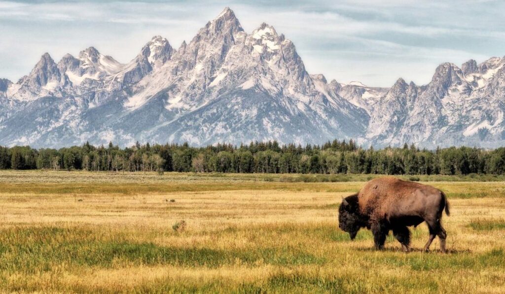 Rocky Mountains - Grand Teton National Park